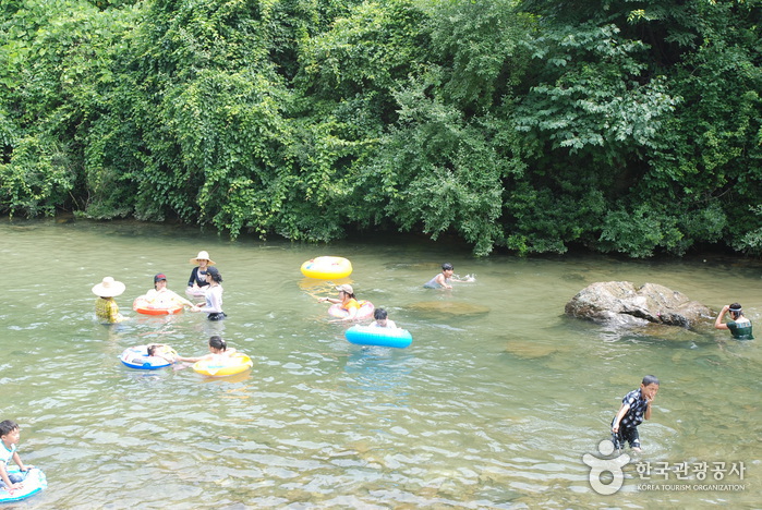 Jangnyeongsan Natural Forest (장령산자연휴양림)