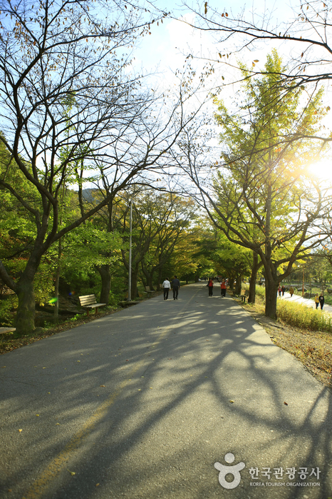 선운산도립공원 사진29