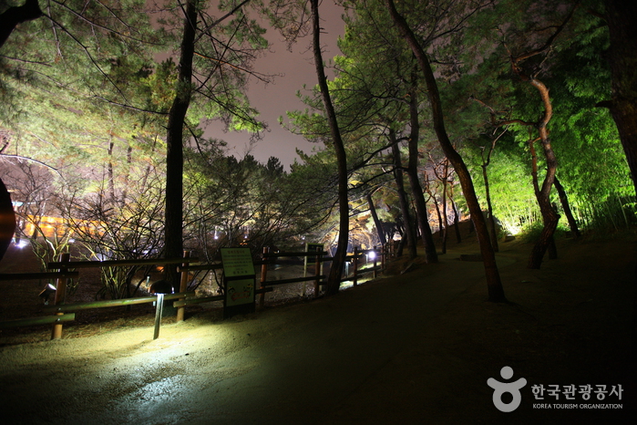 경주 동궁과 월지 사진20
