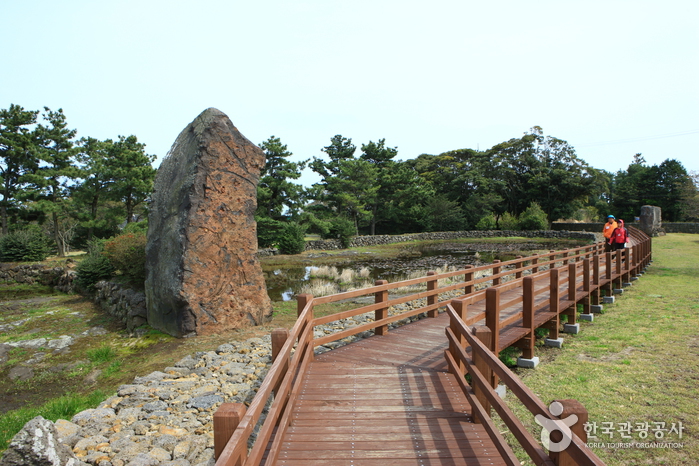 혼인지축제 20192