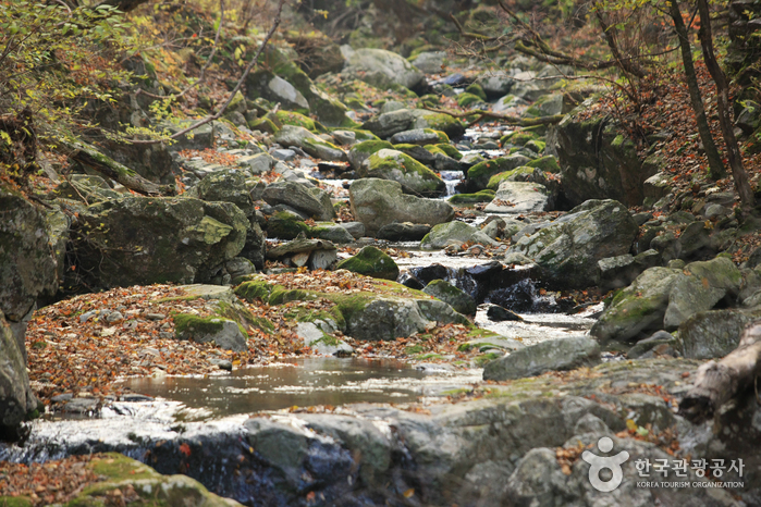 오대산국립공원 사진8