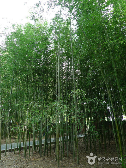 Gyeonggijeon Shrine (경기전)