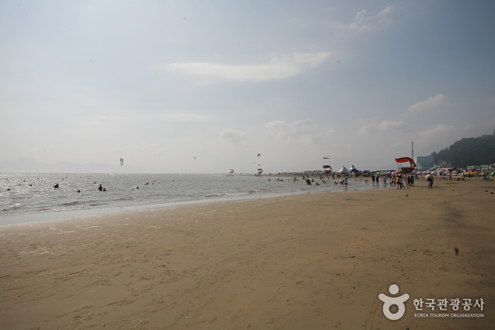 Dadaepo Beach (다대포해수욕장)