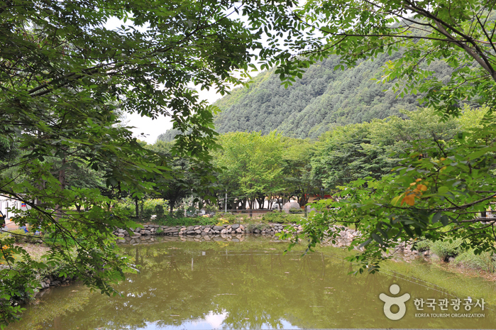 Eobigyegok Valley (어비계곡)