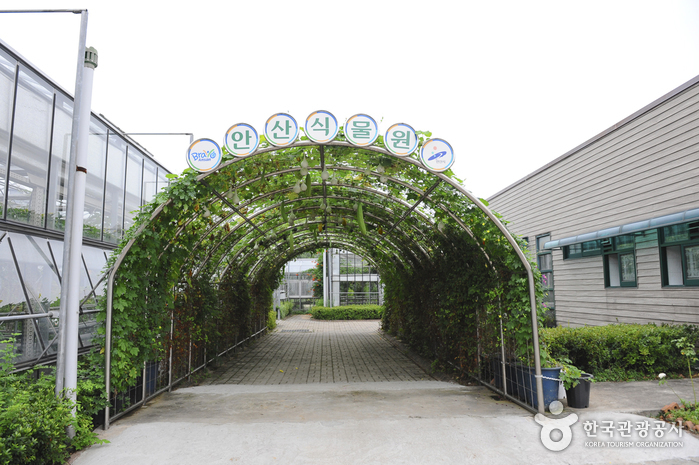 安山植物園(안산식물원)