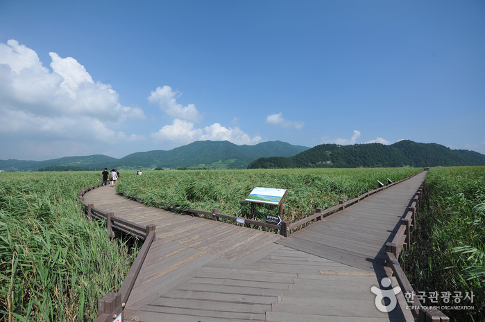 Водно-болотные угодья залива Сунчхон (순천만습지 (구, 순천만자연생태공원))