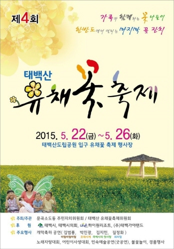 태백산 유채꽃 축제 2013