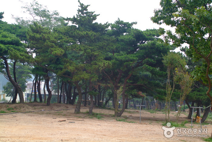 장봉도 옹암해변2