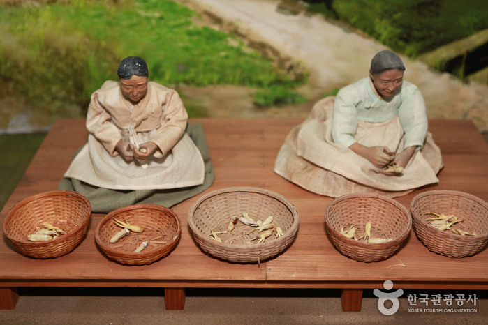 thumbnail-Geumsan Ginseng Museum (금산인삼관)-17