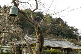 Gayeong Lodging (가영민박)