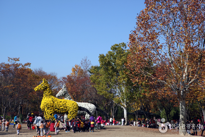 Daegu Arboretum (대구수목원)3