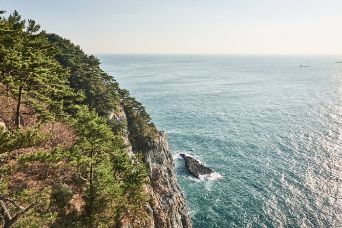 thumbnail-Taejongdae Cliffed Coast [National Geopark] (태종대 (부산 국가지질공원))-8