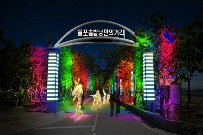 보성차밭빛축제 2018 사진3