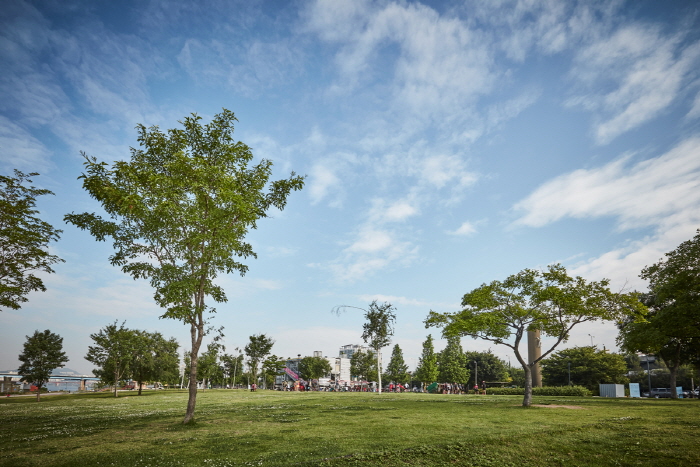 Городской парк Ханган в районе Ттуксом (한강시민공원 뚝섬지구(뚝섬한강공원))