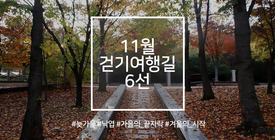 한국관광공사 추천 11월 걷기여행길, 가을의 끝자락에서 만나는 길