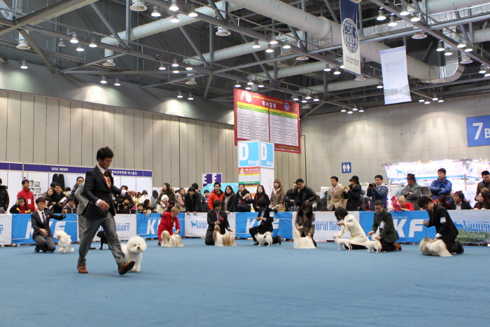 2023 익산 FCI 국제 도그쇼3