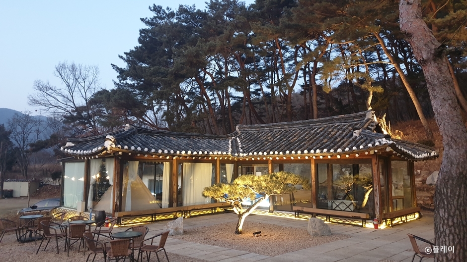 플레이