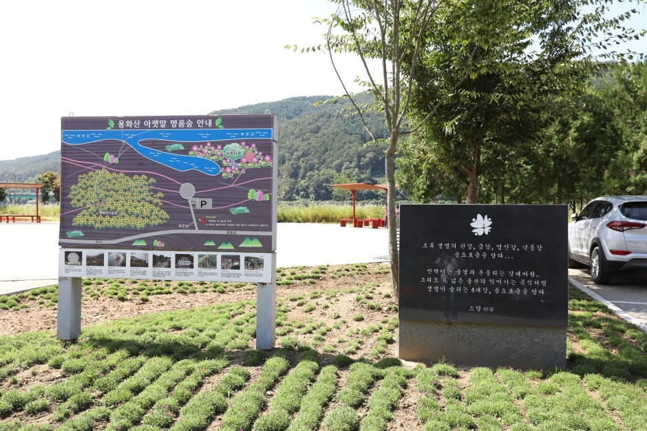 화천 반지교&아를테마수목공원