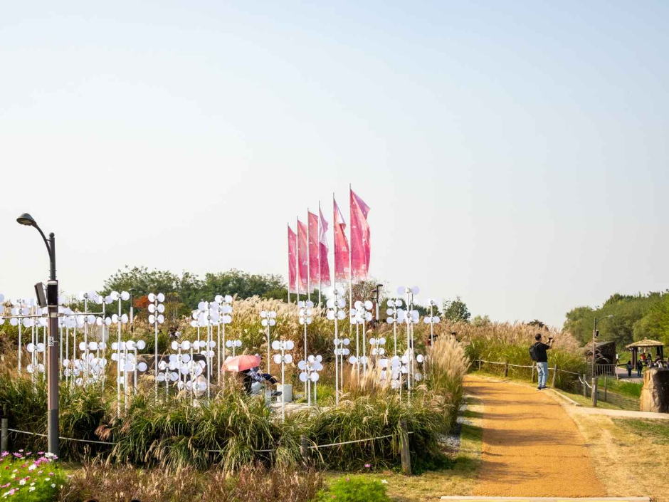 Festival del Eoksae de Seúl (서울억새축제)