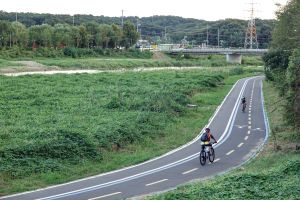 고양_공릉천 (6)