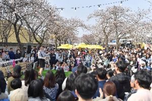 2025 경주 대릉원돌담길 축제 6