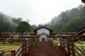 강릉_국립대관령치유의숲 (10)