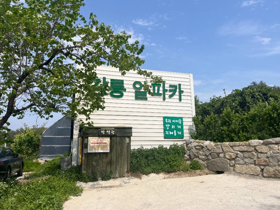 대관령아기동물농장