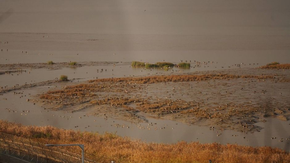 파주_파주 DMZ 생태연구소 (11)