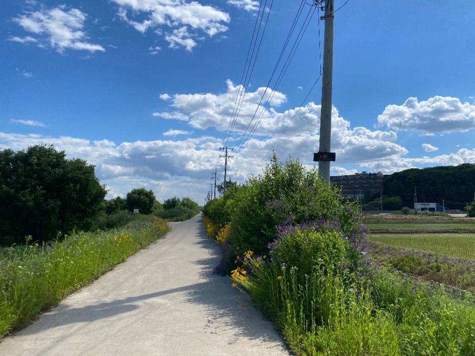 thumbnail-[경기옛길 삼남길 제6길] 화성효행길-13