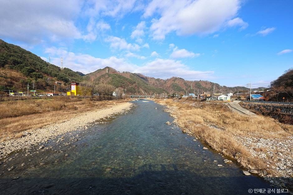 리빙스턴교