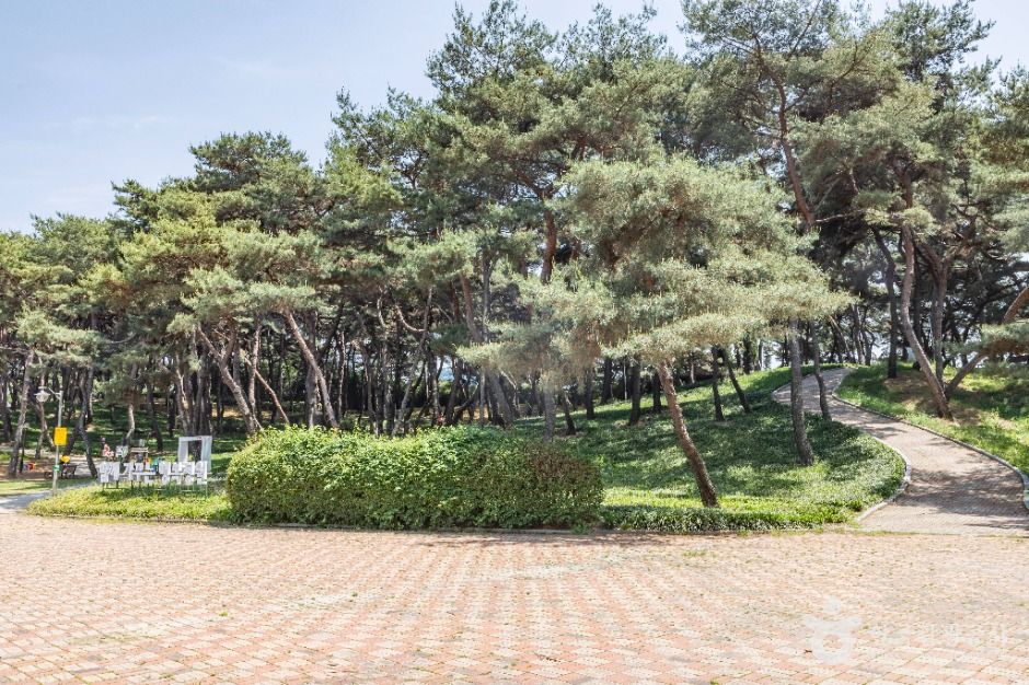 솔밭공원