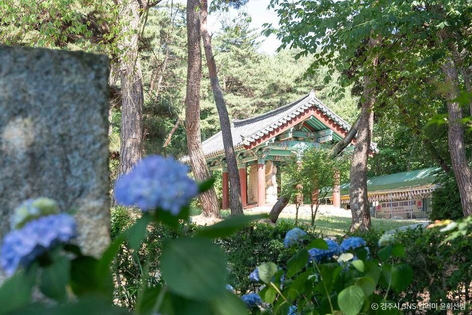 삼불사