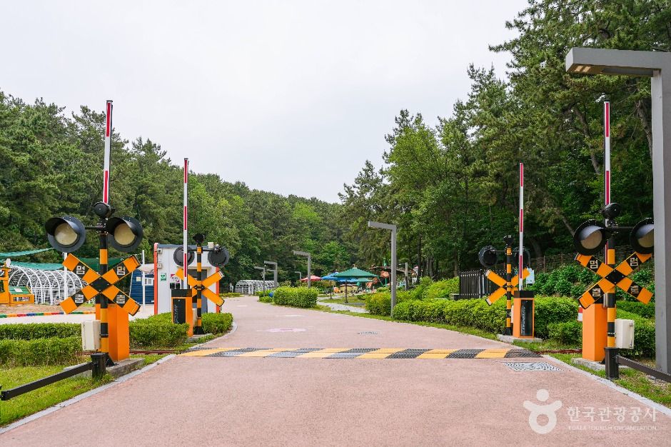 선암호수공원 무지개놀이터