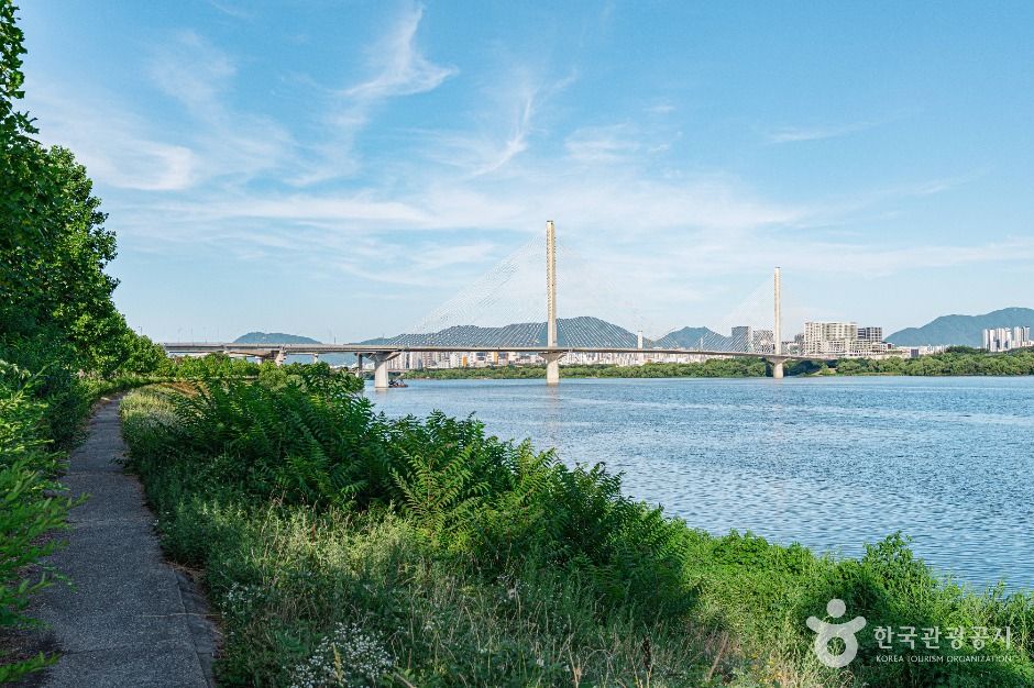 구리한강시민공원(코스모스공원)