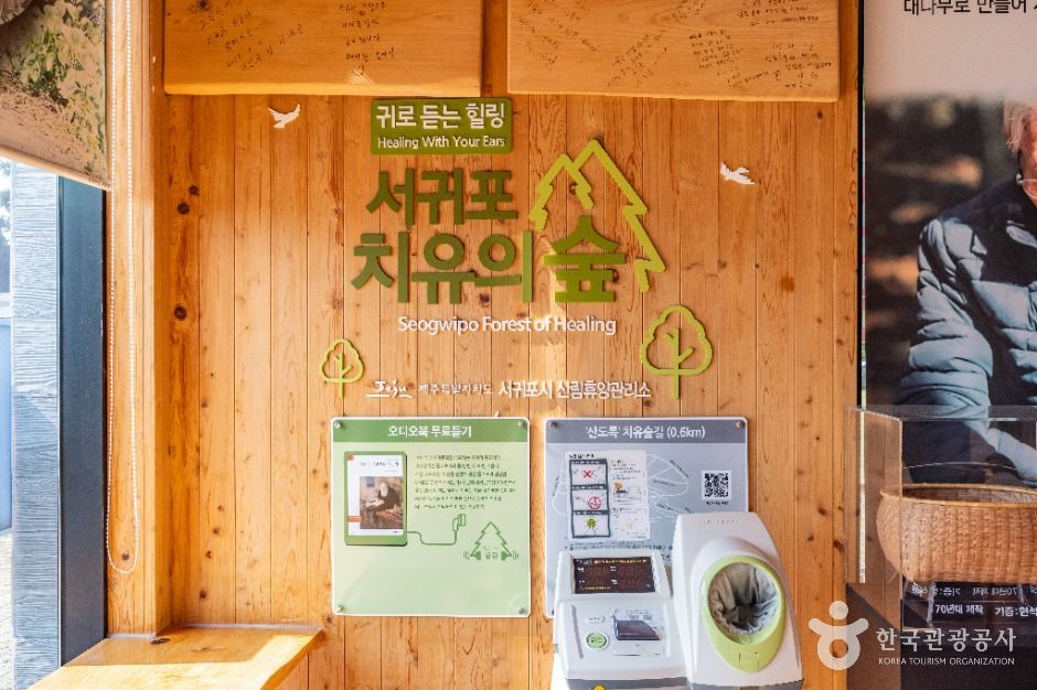 제주_서귀포 치유의숲 (11)