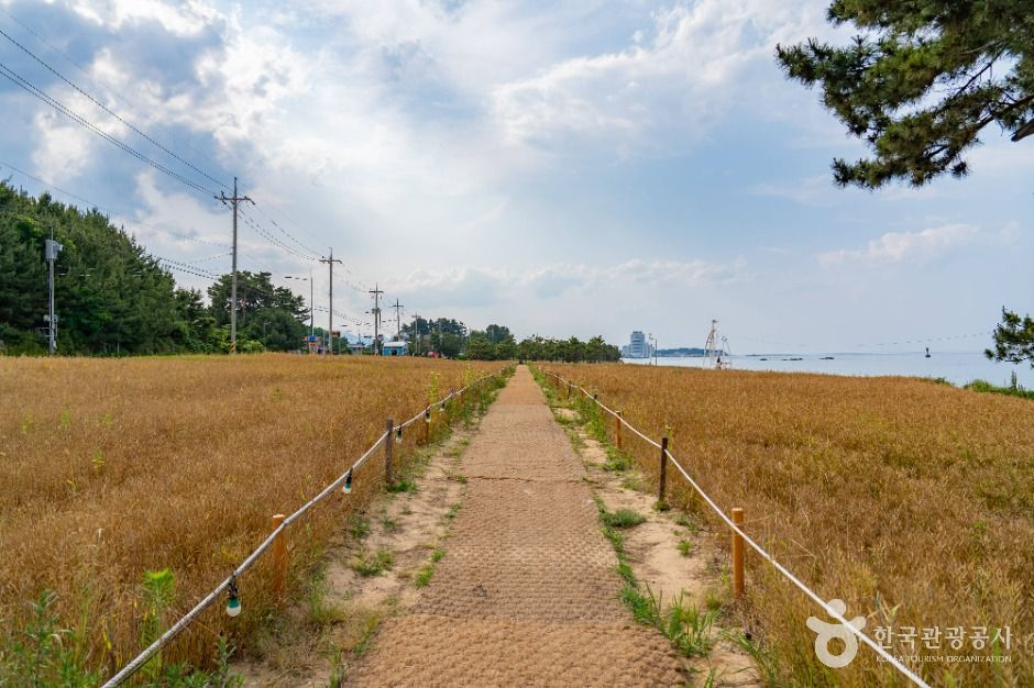 순긋해변