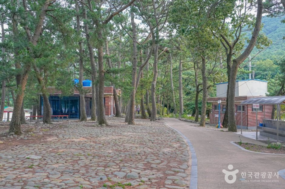고흥_덕흥해수욕장 (6)