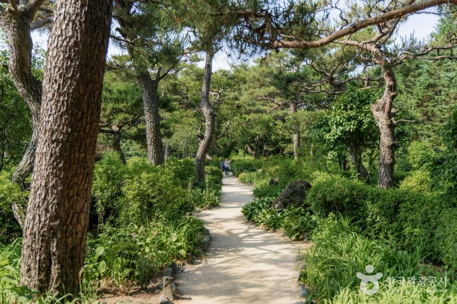 벽초지수목원