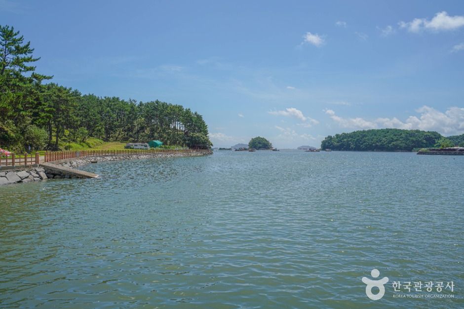 송천참다래마을