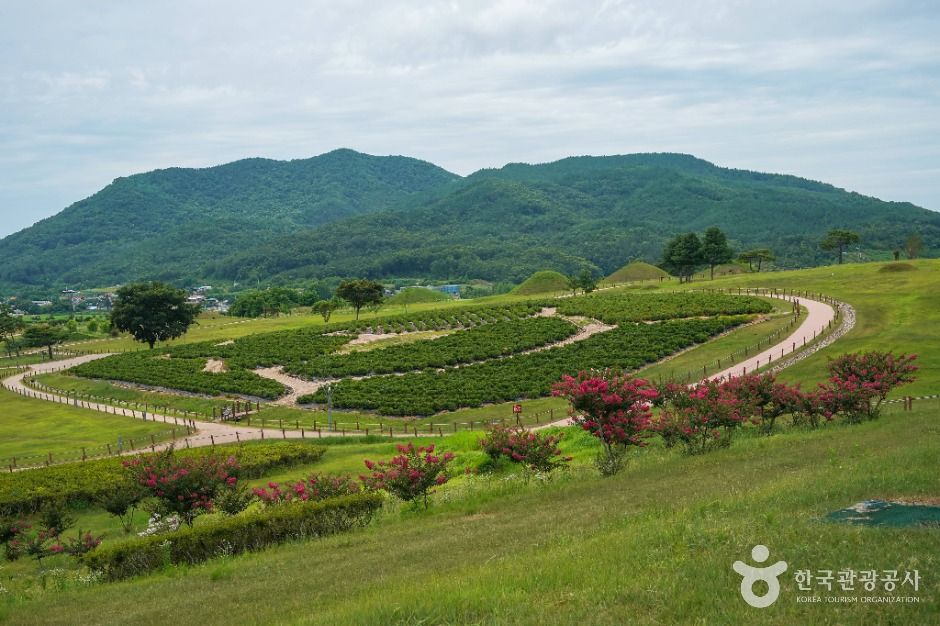 의성 조문국사적지