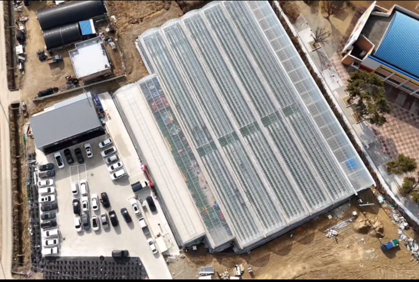 thumbnail-또로롱딸기-10