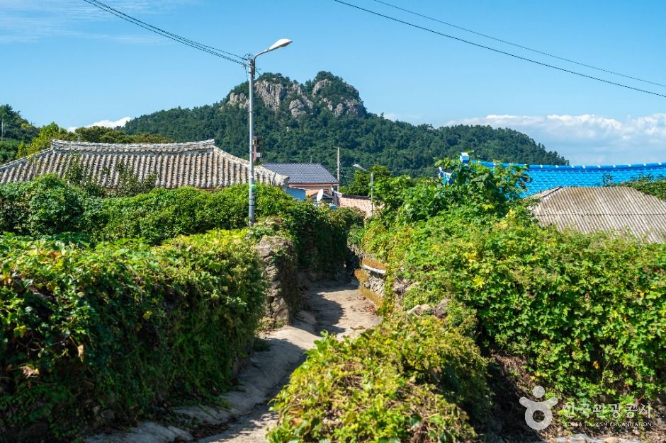 여수_손죽도 (6)