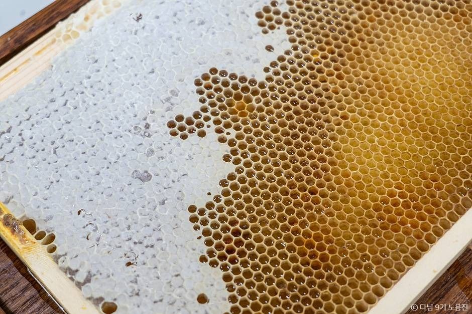 농업회사법인주식회사꿀벌인