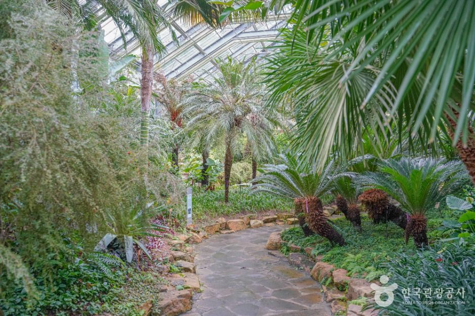 thumbnail-완도수목원-14