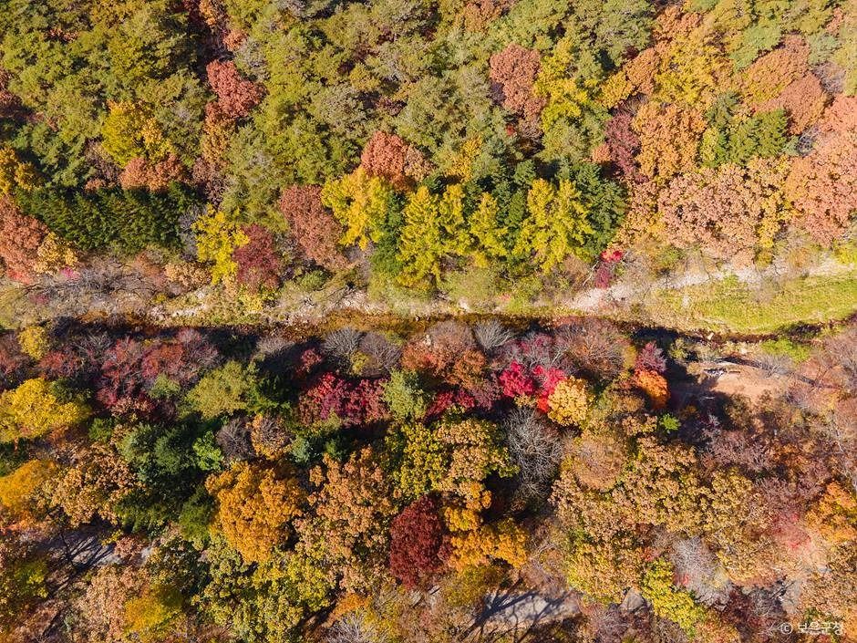 보은_세조길 (3)