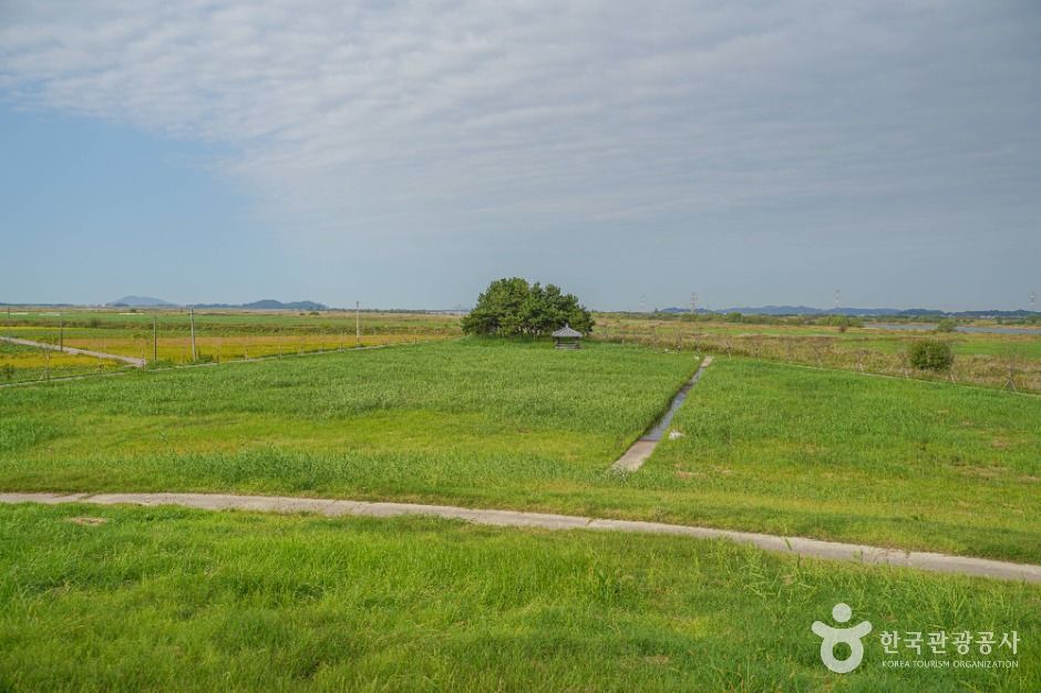 김제_새만금 광역탐방로 (2)