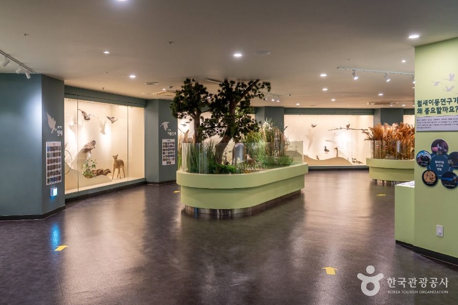 서천군 조류생태전시관