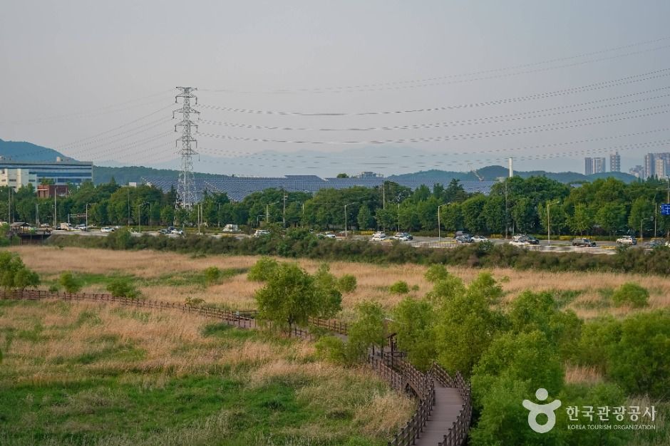 thumbnail-대명유수지-4