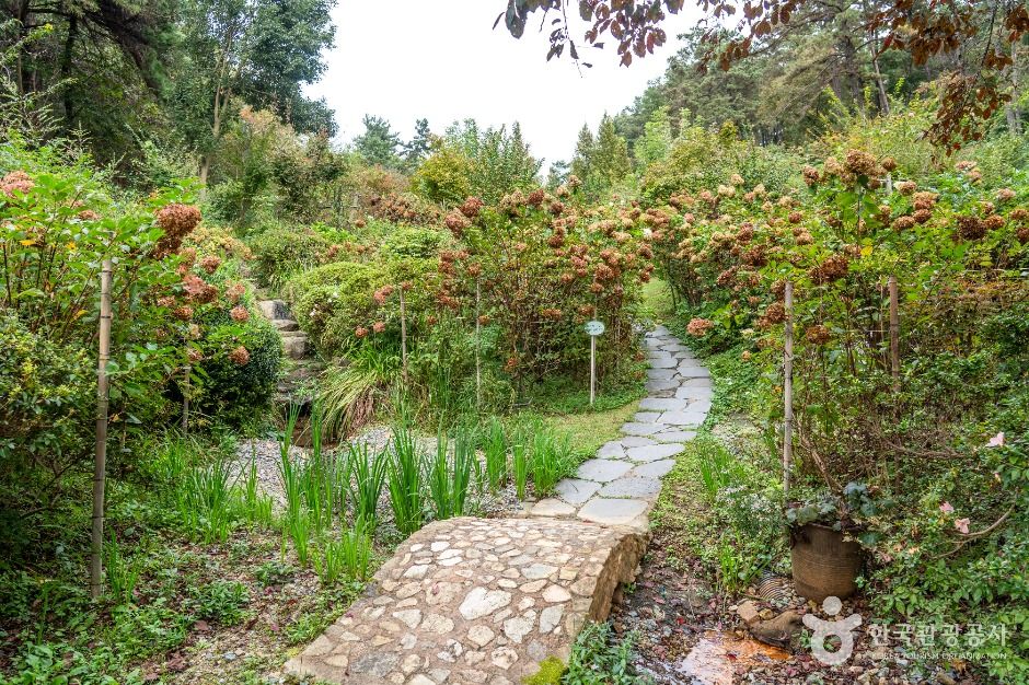 담양_죽화경 (4)