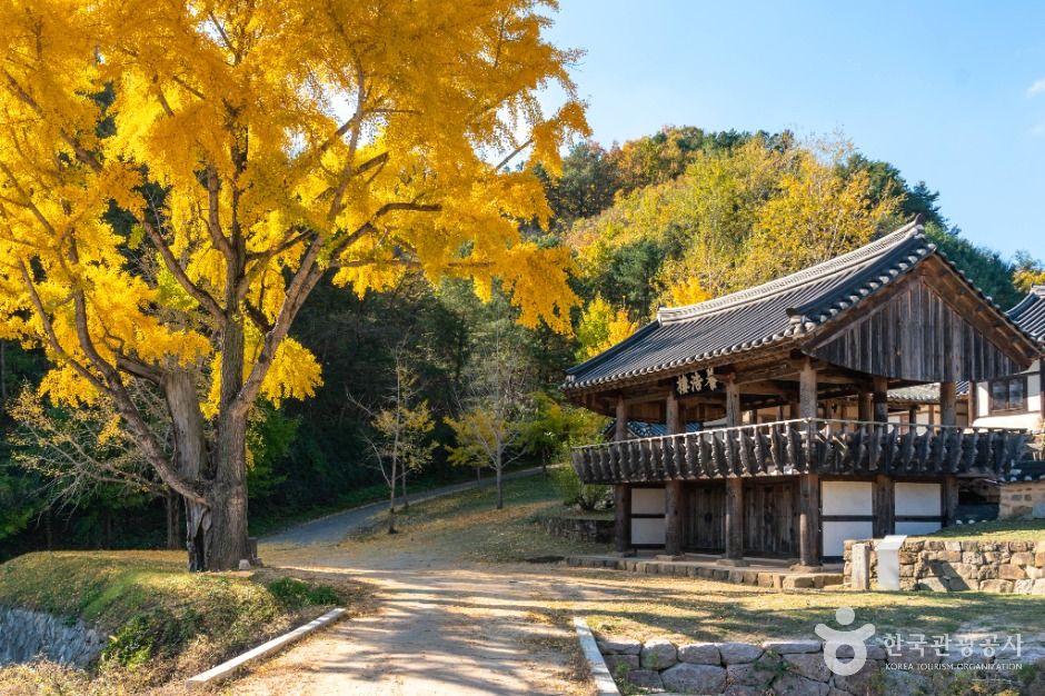 thumbnail-예안향교-4